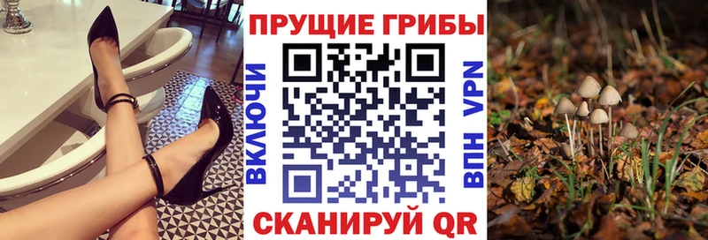 Галлюциногенные грибы GOLDEN TEACHER  купить  цена  Талдом 